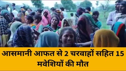 महोबा: आसमानी आफत से 2 चरवाहों सहित 15 मवेशियों की मौत, मचा कोहराम