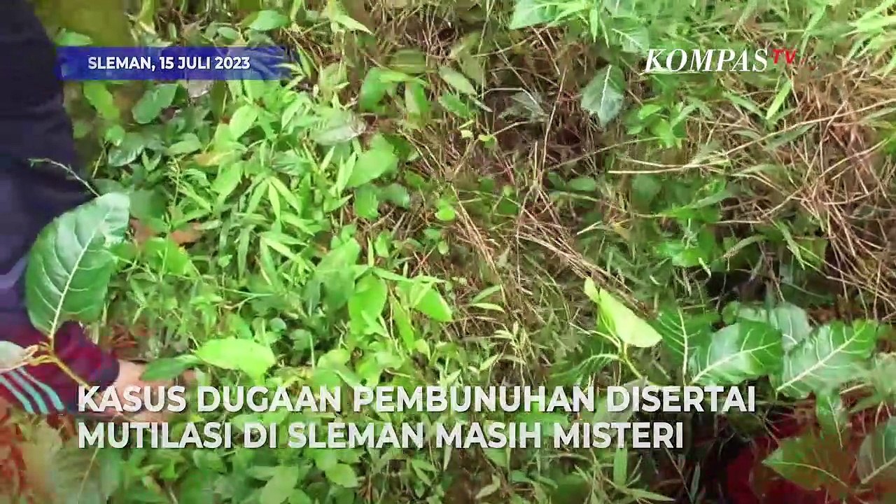 Pengakuan Warga Lihat Potongan Tubuh Diduga Korban Mutilasi di Sleman