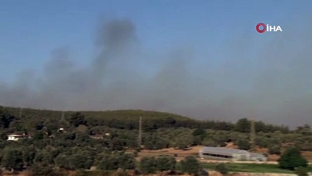 Milas-Bodrum havalimanı kavşağındaki orman yangını kontrol altında