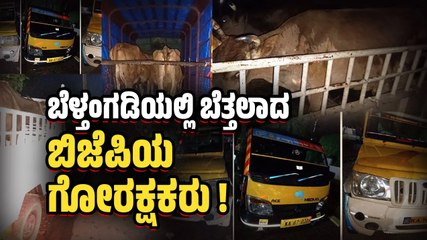 ಅಕ್ರಮ ದನ ಸಾಗಾಟ ಮಾಡಿ ಸಿಕ್ಕಿ ಬಿದ್ದ ಬಿಜೆಪಿ ಮುಖಂಡ ಪ್ರಮೋದ್ ಸಾಲ್ಯಾನ್ | BJP | Belthangaddy