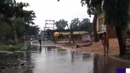 बक्सर के पांडेयपट्टी में जलजमाव की समस्या का जल्‍द होगा निदान, देखें वीडियो