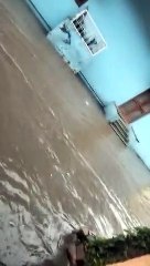 शिवना में बढ़ा जलस्तर तो लहरों ने पकड़ी रफ्तार, कलकल बहा पानी