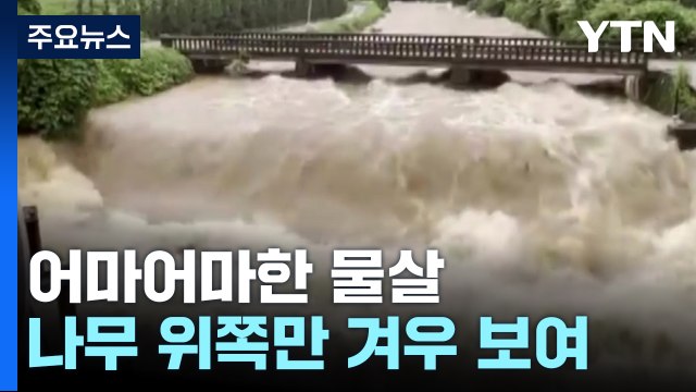 [제보영상] 어마어마한 물살 나무 위쪽만 겨우 보여 피해 속출 / YTN