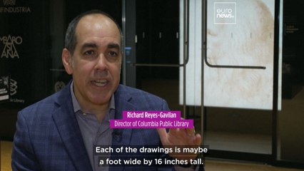 US capital hosts 12 'beautiful, glowing' Leonardo da Vinci sketches for the first time