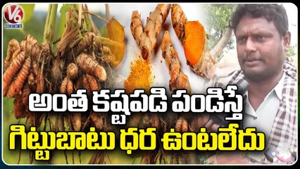 Farmers Not Cultivating Turmeric Due To Low Prices | Warangal | V6 News