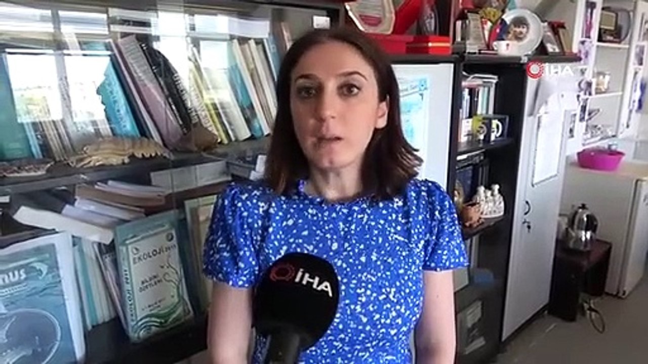 İç sularda istilacı 'İsrail sazanı' ve 'sivrisinek balığı' kabusu