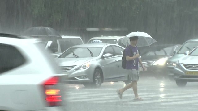 [날씨] 내일, 충청 이남 집중호우...최대 250mm 더 온다 / YTN