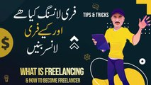What is freelancing