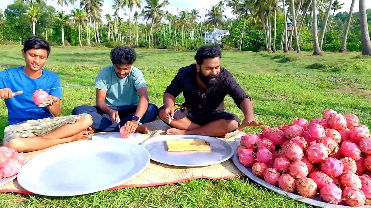 100 KG Dragon Fruit Milk Shake _ ഡ്രാഗൺ പഴം ഷേക്ക് അടിച്ചപ്പോൾ _ M4 Tech _