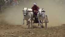 Supar Race 2023  Newargaon Murjhar _  National Bull Pair Race (Pat) _ Competition true