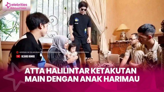 Atta Halilintar Ketakutan Main dengan Anak Harimau