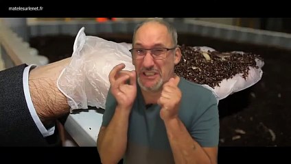 On va bientôt manger des insectes...enfin...pas tous !