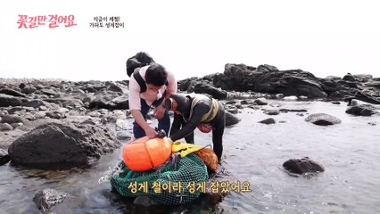 오늘의 주인공은 해녀(⊙o⊙)?! 가파도 앞바다에서 갓 잡아 올린 싱싱한 성게♨