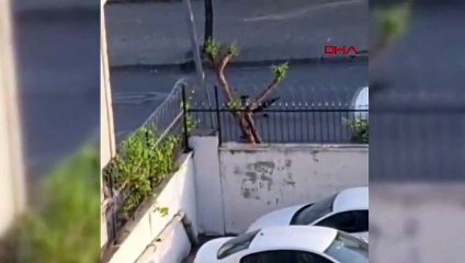 Esenyurt'ta Alkol Alanlarla Mahalleli Arasında Silahlı Kavga