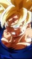 Pourquoi les super saiyans sont blonds dans Dragon Ball Z ?