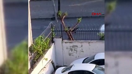 Lutte armée entre ceux qui boivent de l'alcool et les gens du quartier à Esenyurt