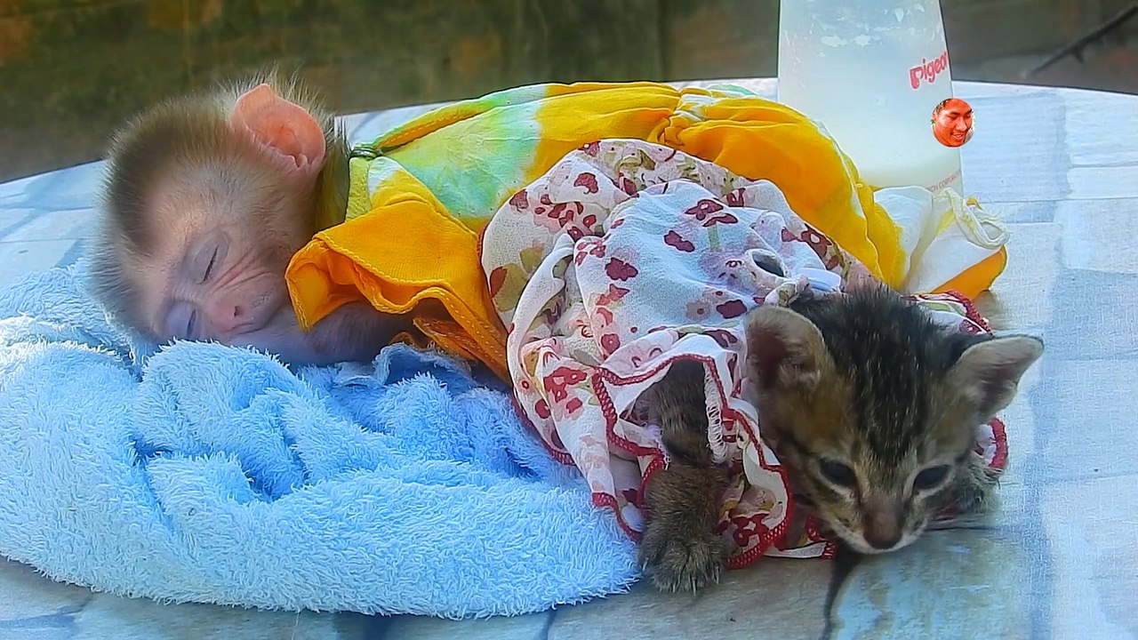 So Sweet..}} Little LUNC Protect Luna Sleep