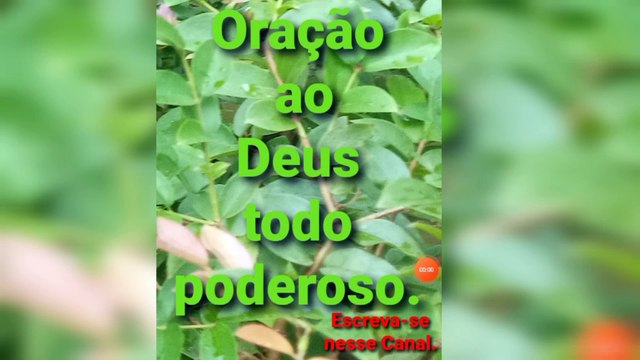 Oração ao Deus todo poderoso. Deus é Fiel.