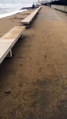 El mar engulle el Passeig Marítim de la playa de Badalona