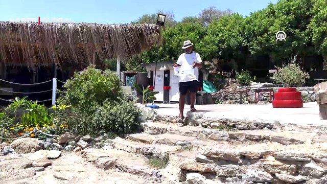 Alanya'da kedinin yemek istediği caretta caretta yavrularını bir kişi denize ulaştırdı