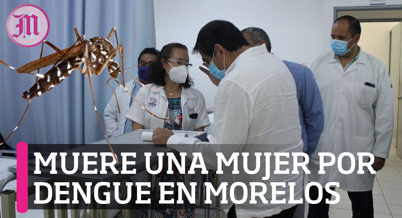 Fallece una mujer a causa del dengue en Morelos; analizan 7 posibles decesos más