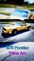 1978 Pontiac Trans Am .  Classic muscle cars show. سيارات كلاسيكيه
