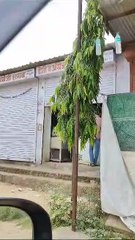 गोदामों से बिक रही शराब, आबकारी विभाग के अधिकारियों की आंखों पर पट्टी