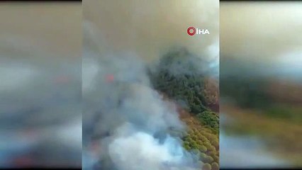 Feu de forêt à Gökçeada