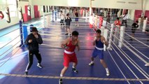KASTAMONU - Yıldız Erkek Boks Milli Takımı'nın Avrupa Şampiyonası için Kastamonu'daki kampı sürüyor