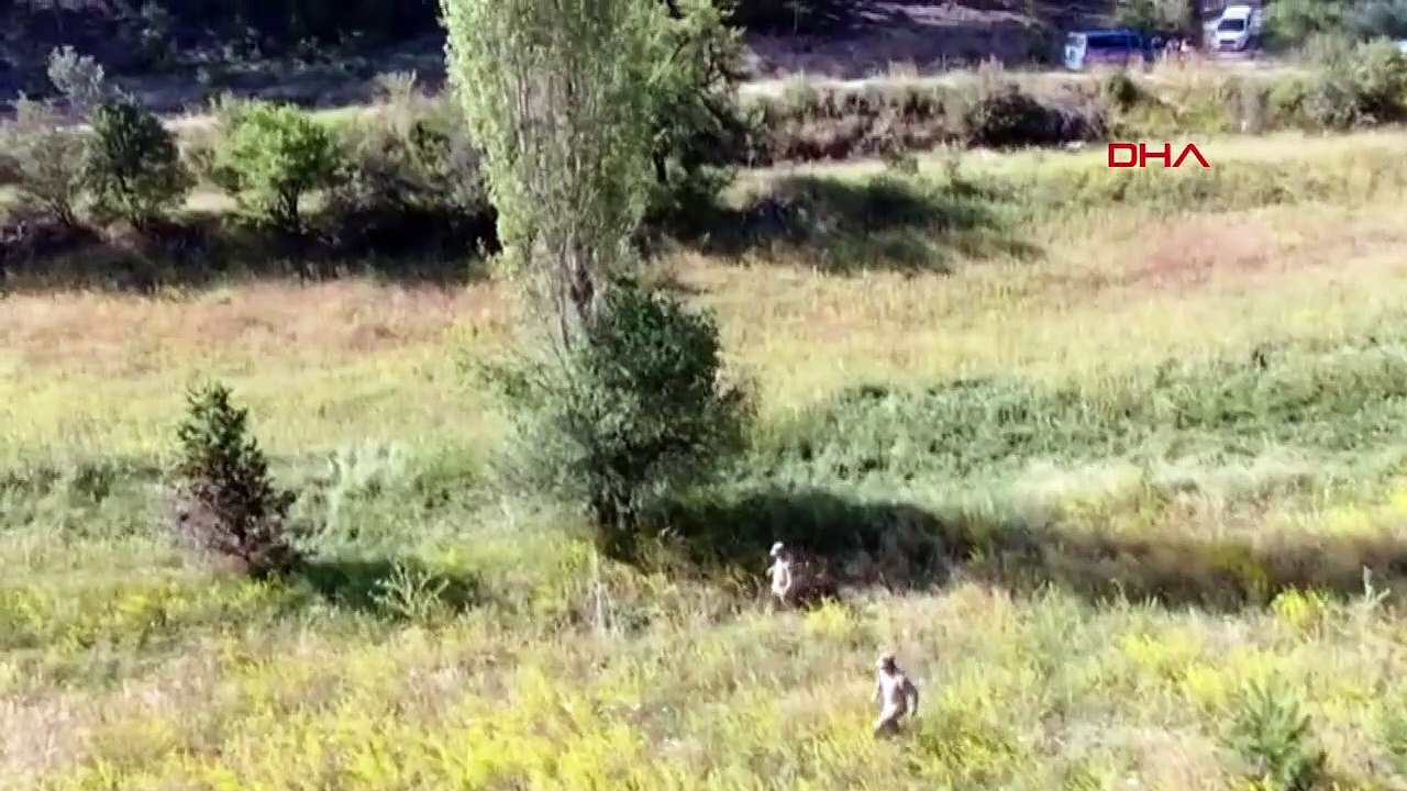 Un vieil homme atteint d'Alzheimer a été retrouvé mort sur le terrain, son ami a été retrouvé vivant