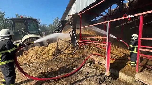 70 büyükbaş hayvanın bulunduğu ahırda yangın: 12 kişi dumandan etkilendi