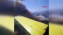 Muğla'da çıkan yangında 160 hektar alan zarar gördü