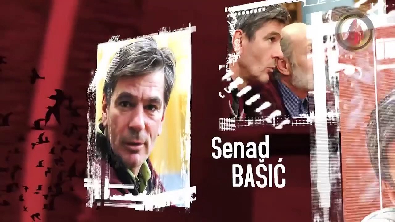 Lud zbunjen normalan S 5 epizoda 17