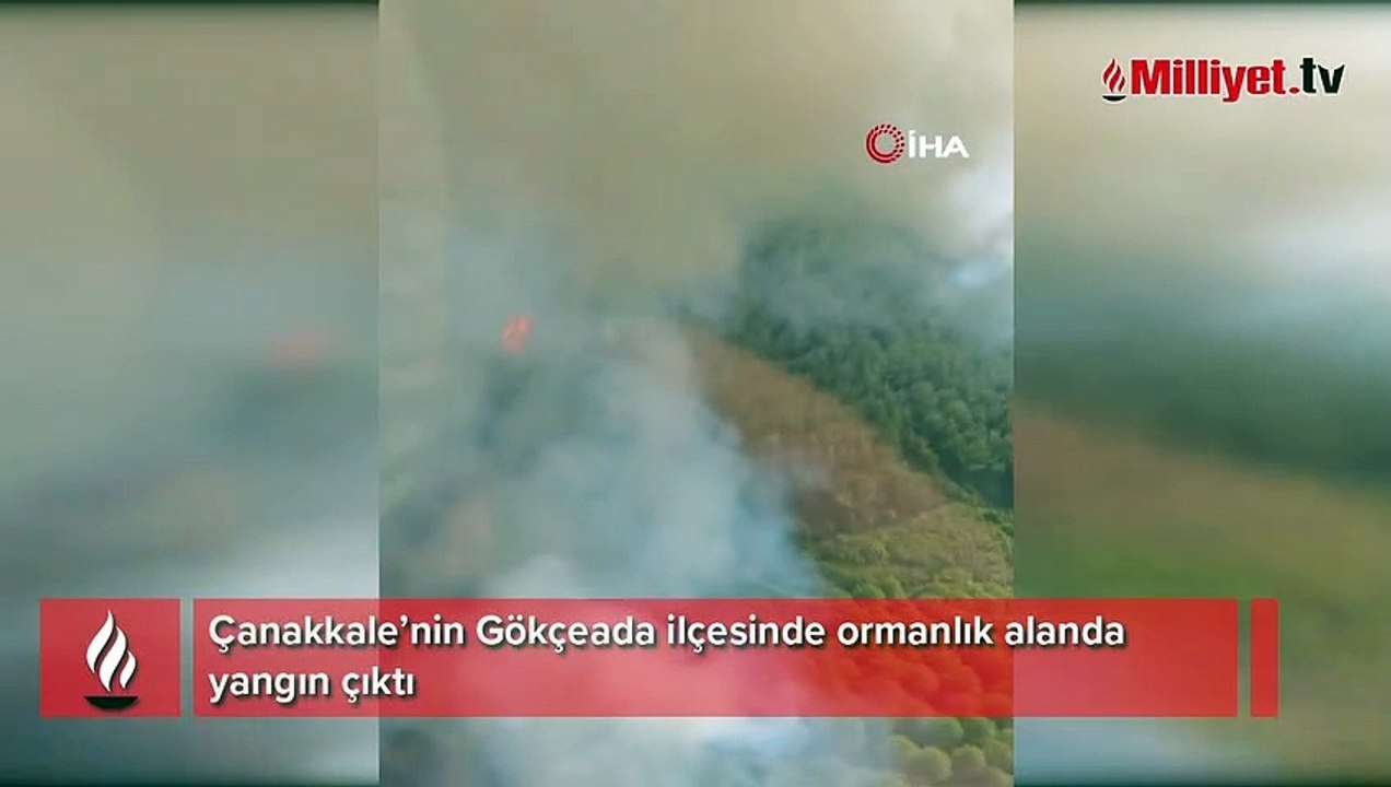 Gökçeada orman yangını! Ekipler müdahale ediyor