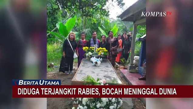 Tak Kunjung Dapat Vaksin, Bocah 6 Tahun Tewas Usai Digigit Anjing Rabies