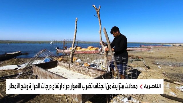 آلاف العائلات تهاجر من جنوب العراق.. ما علاقة تركيا وإيران؟