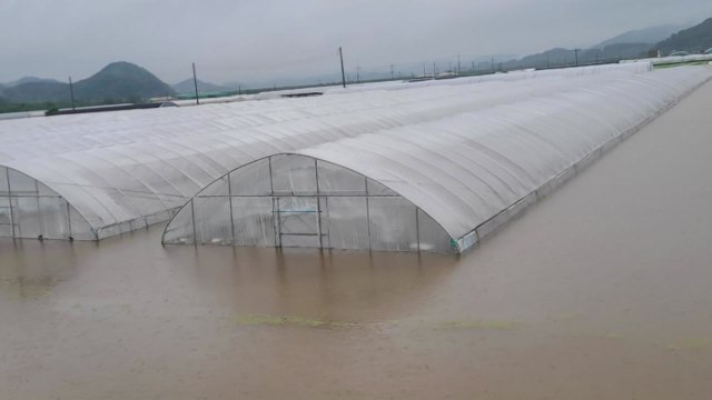 충남 청양군 청남면 하천 제방 붕괴...주민 190여 명 긴급대피 / YTN
