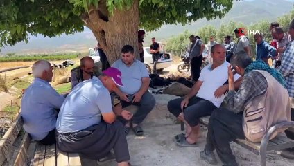 Hatay'da zirai ilaç karışan sudan içen 77 küçükbaş hayvan telef oldu