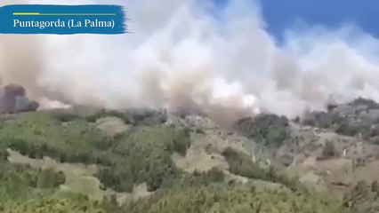 El incendio de La Palma, “fuera de control” tras afectar a más de 4.500 hectáreas