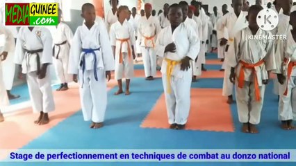 Karaté : stage de perfectionnement en techniques de combat....