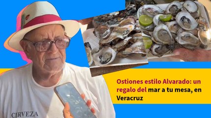 Ostiones estilo Alvarado: un regalo del mar a tu mesa, en Veracruz