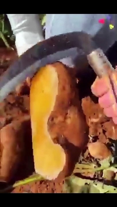 Fruit ki video