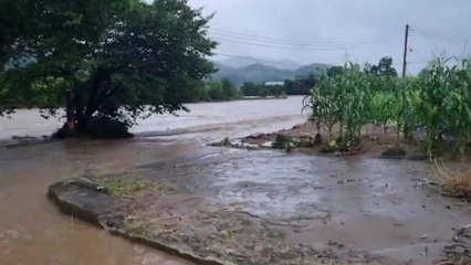 이번 피해, 예전과 이렇게 다르다...장마성 강우 피해 특징은? / YTN