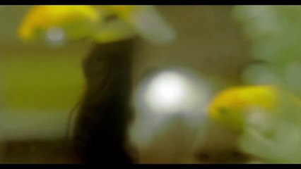 Silence After Storm | movie | 2023 | Official Trailer