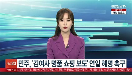 민주, '김여사 명품 쇼핑 보도' 연일 해명 촉구