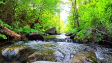 Most Beautiful Waterfall in India