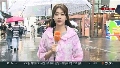 [날씨] 충청 이남 호우경보…시간당 60㎜ '폭우'