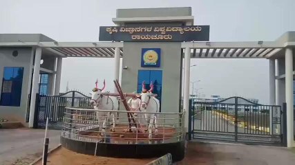 ರಾಯಚೂರು: ಕೃಷಿ ವಿವಿಯಲ್ಲಿ ಉದ್ಯೋಗವಕಾಶ