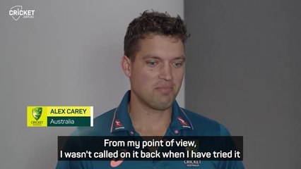 Alex Carey found controversial stumping comments 'amusing'