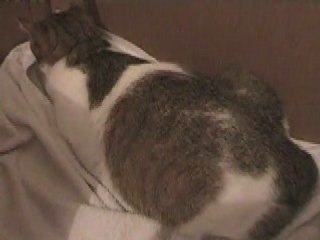 Les premières contractions